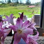 בית נופש Quinta De Sao Jose *