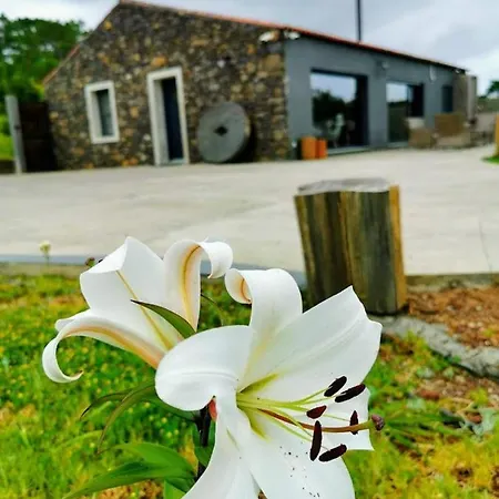 Quinta De Sao Jose Ferienhaus *