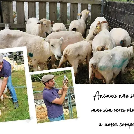 Quinta De Sao Jose Sao Pedro (Santa Maria)