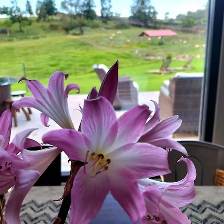 Vakantiehuis Quinta De Sao Jose *