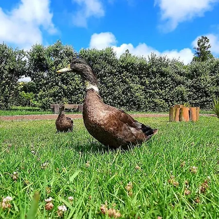 Quinta De Sao Jose * Sao Pedro (Santa Maria)