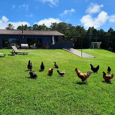 Quinta De Sao Jose * Sao Pedro (Santa Maria)