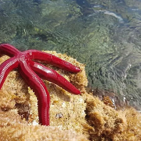 Vakantiehuis Quinta De Sao Jose Sao Pedro (Santa Maria)