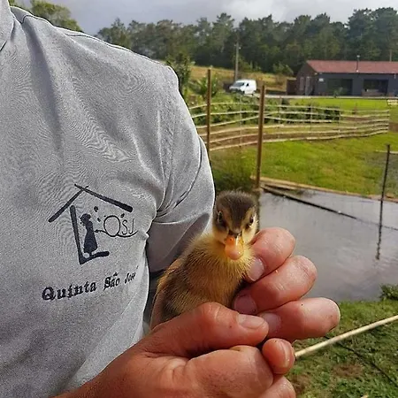 Quinta De Sao Jose Dom wakacyjny